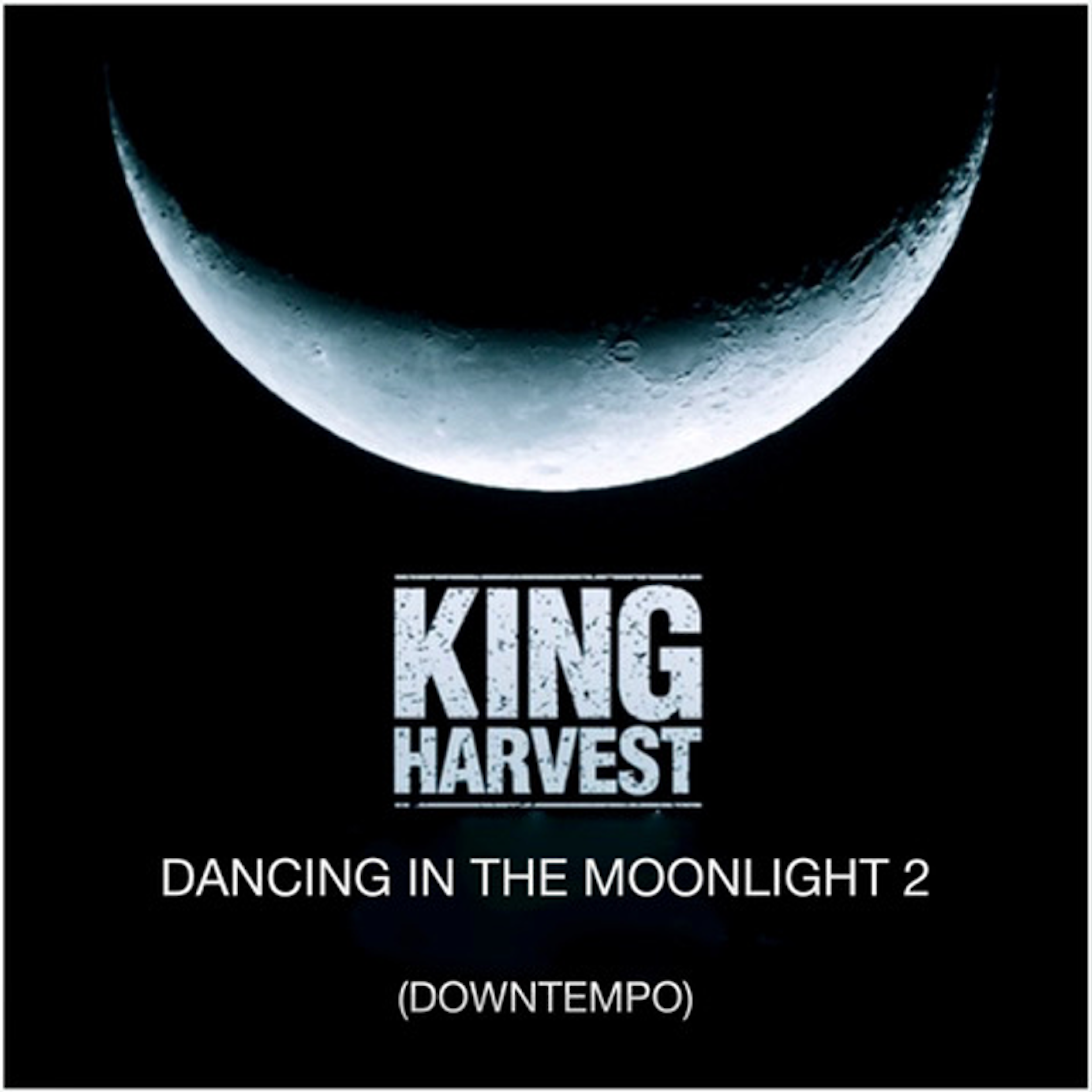 Dancing in the Moonlight2 (Downtempo)